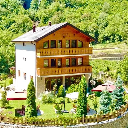 فالبني Vila Alexander B&B المظهر الخارجي الصورة