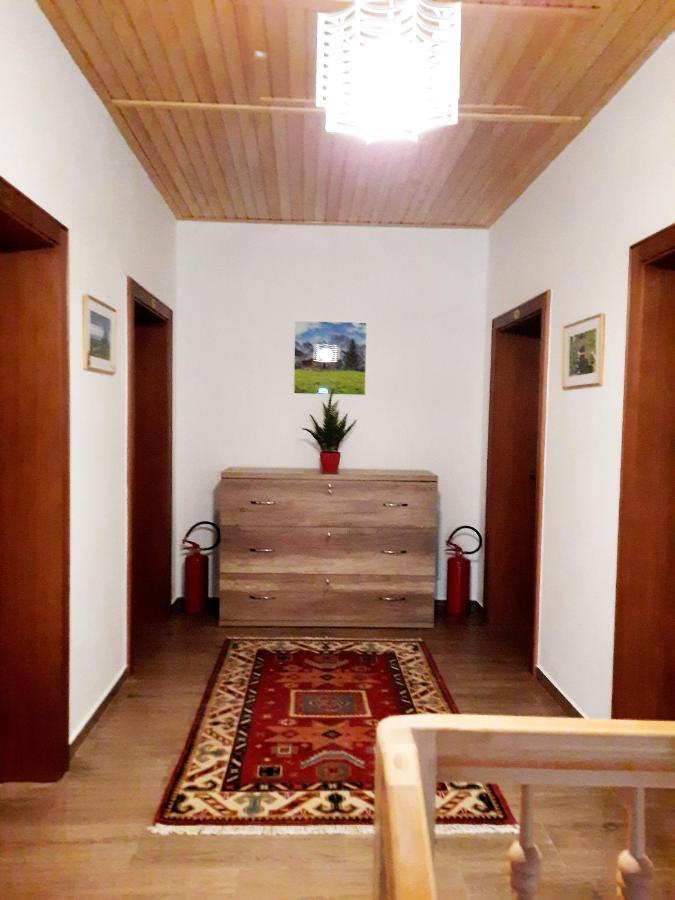 فالبني Vila Alexander B&B المظهر الخارجي الصورة