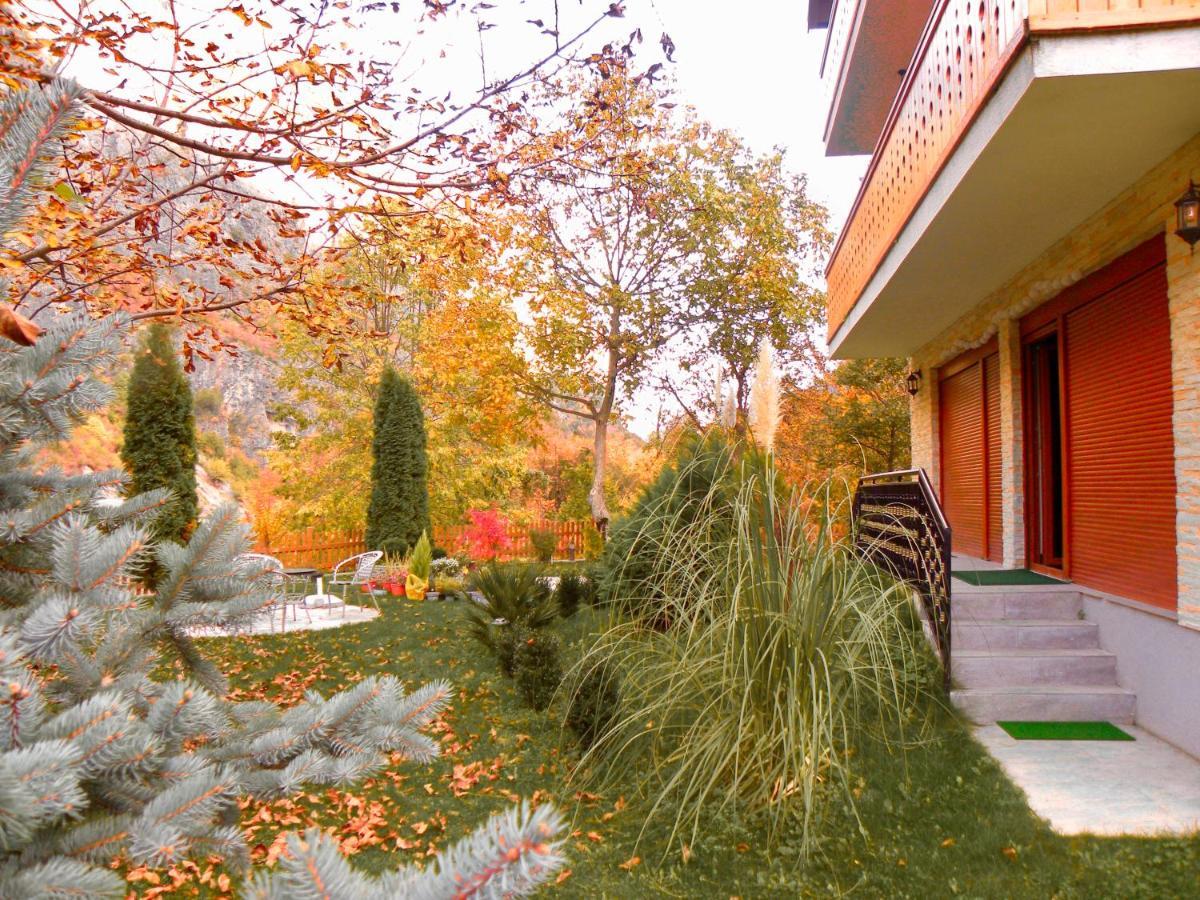 فالبني Vila Alexander B&B المظهر الخارجي الصورة