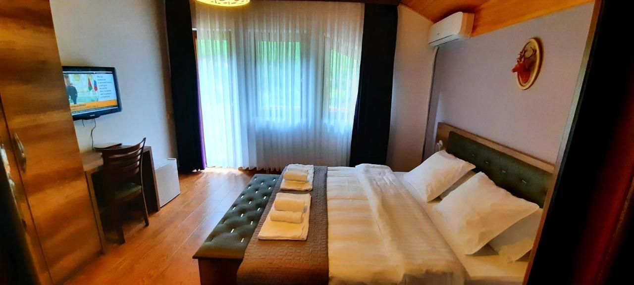 فالبني Vila Alexander B&B المظهر الخارجي الصورة
