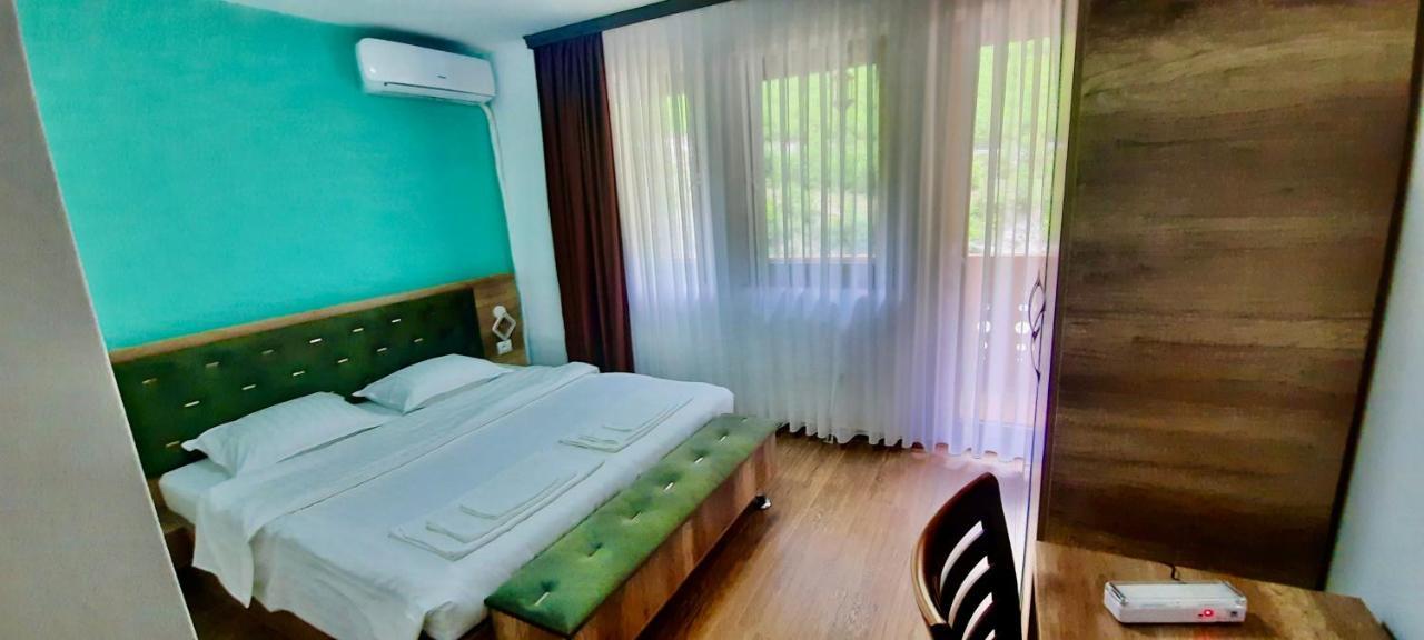 فالبني Vila Alexander B&B المظهر الخارجي الصورة