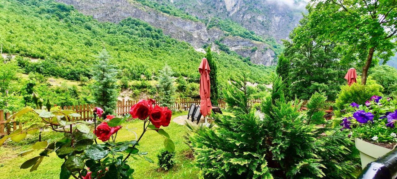 فالبني Vila Alexander B&B المظهر الخارجي الصورة
