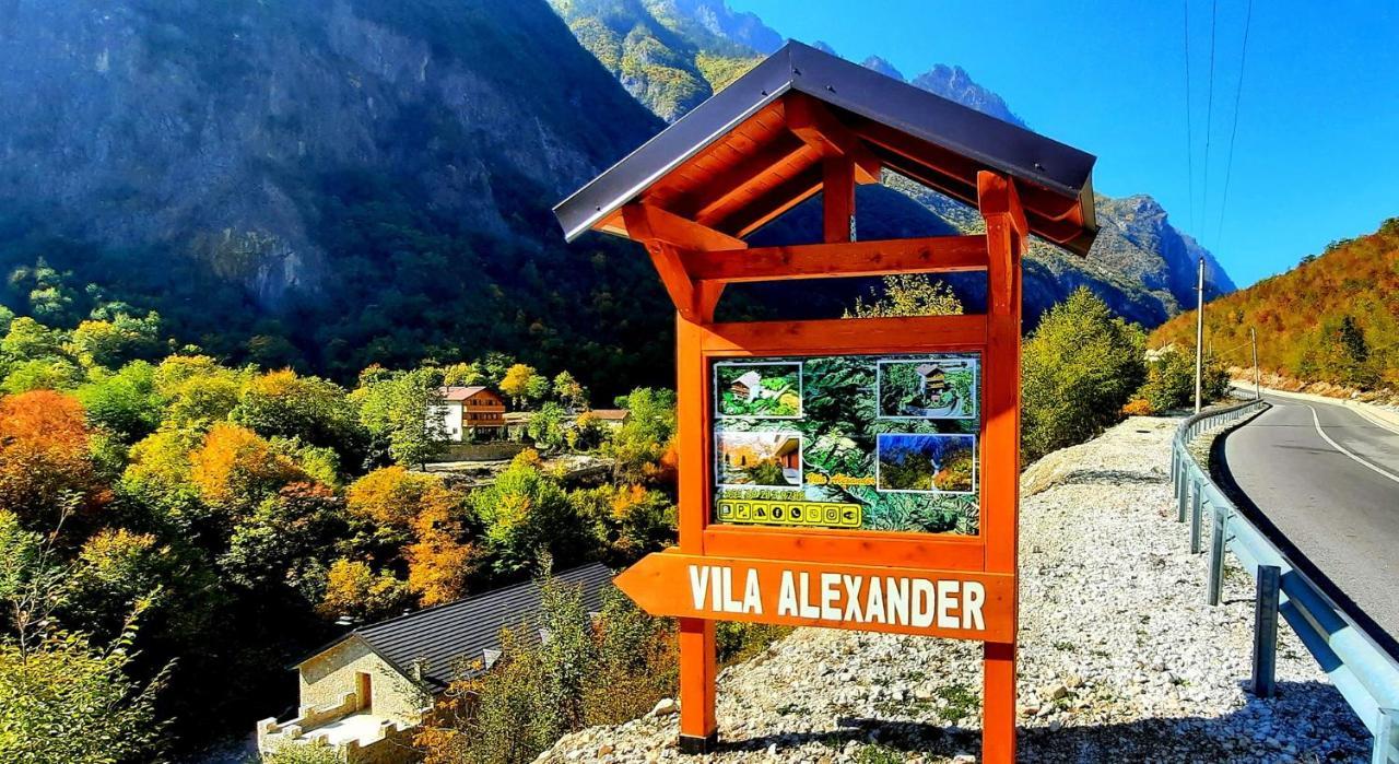فالبني Vila Alexander B&B المظهر الخارجي الصورة