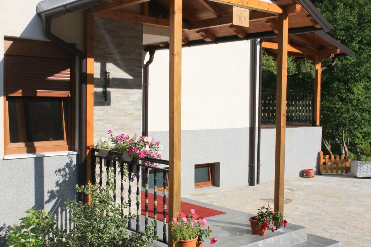 فالبني Vila Alexander B&B المظهر الخارجي الصورة